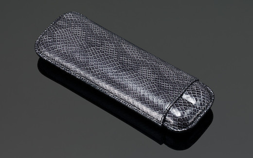Siglo Lizard Pattern Case - Dark Grey 2s